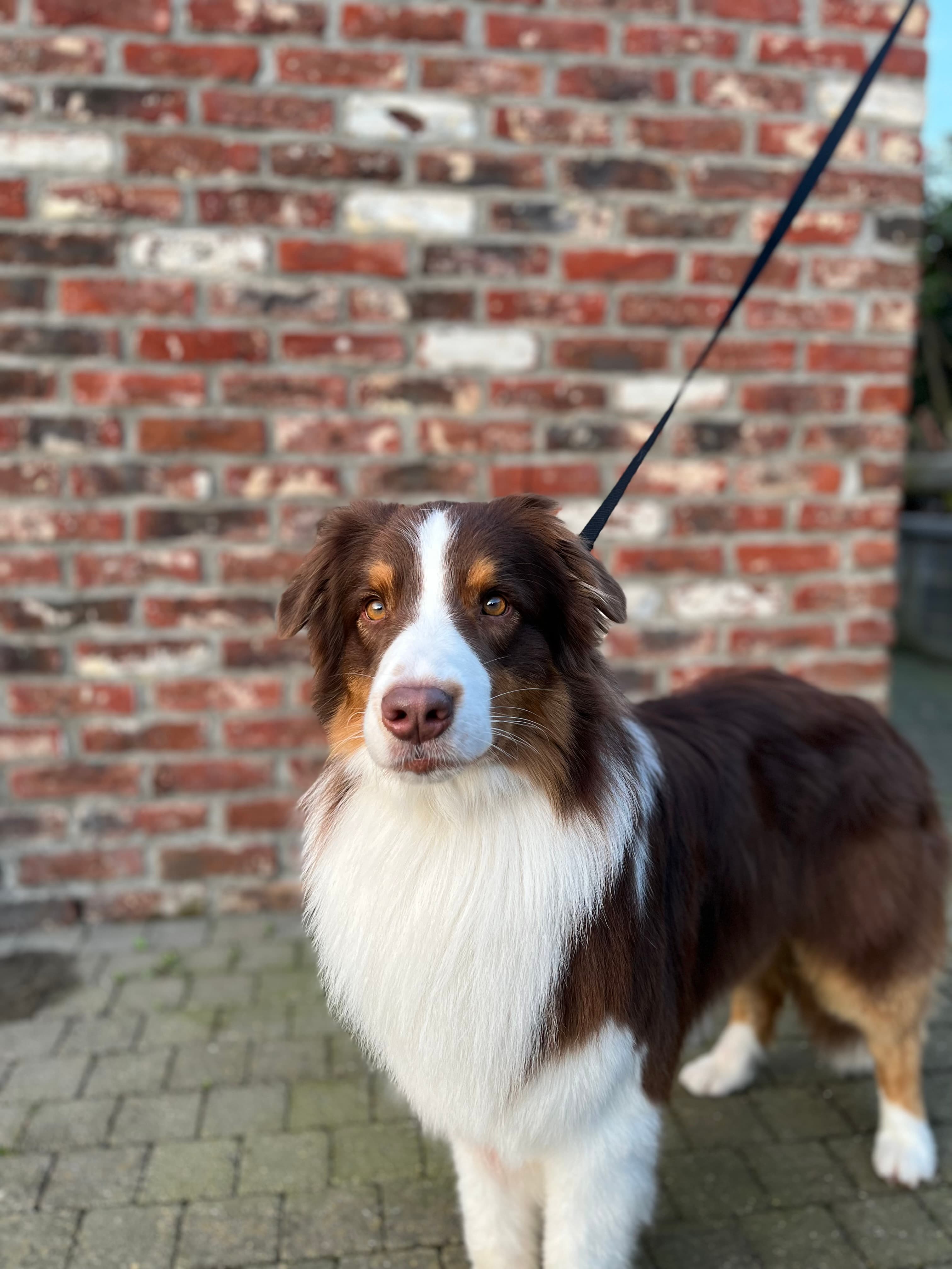 Sam
